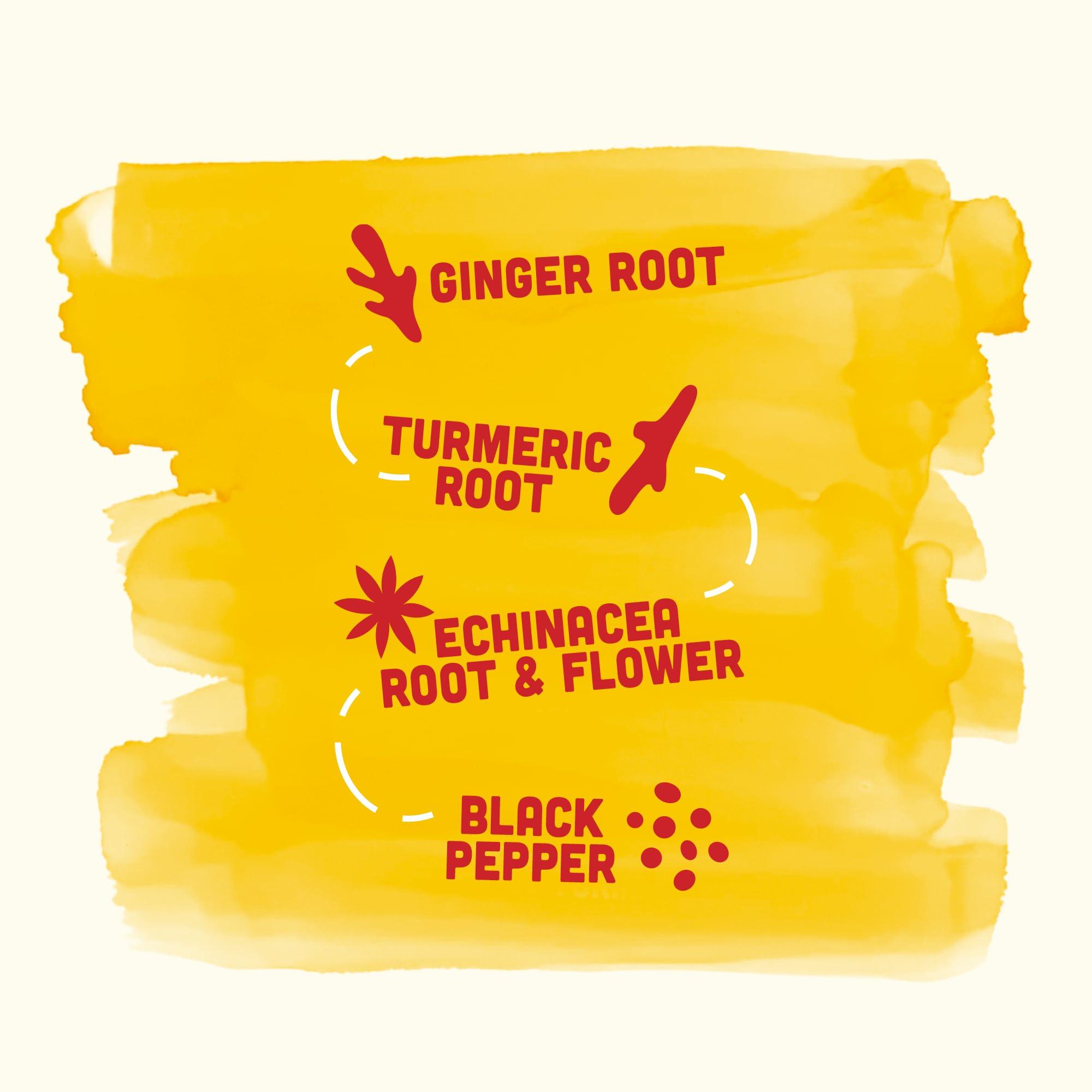 Vive Organic Vive Organic Immune Support Shot, Cold-Pressed Ginger, Turmeric, & Echinacea, Gluten Free, Vegan, Immunity Boost Original, 2 Fl Oz (Pack of 12)