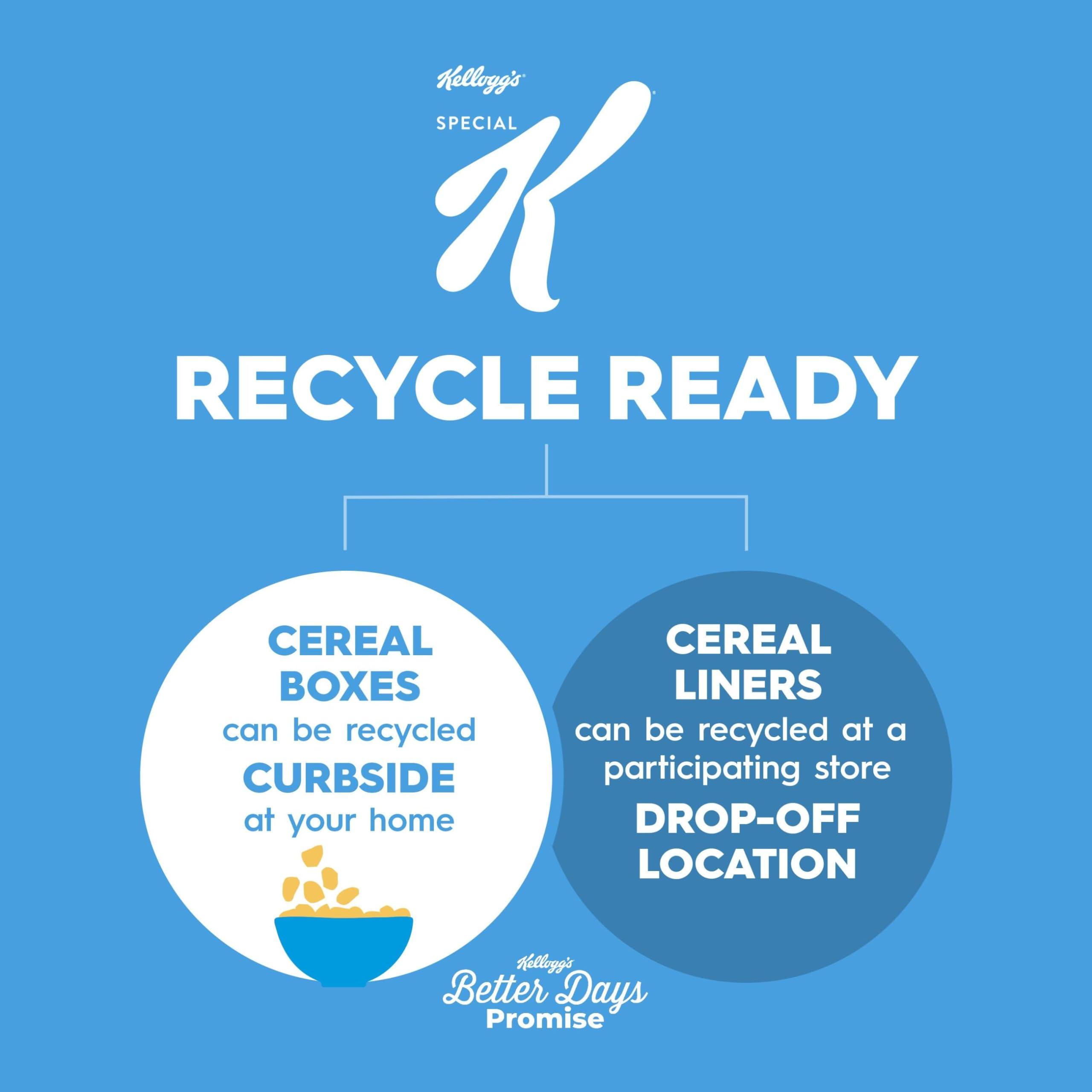 Special K Kellogg\'s Special K Protein Breakfast Cereal, Protein Cereal, Family Breakfast, Original Multi-Grain Touch of Cinnamon, 12.9oz Box (1 Box)