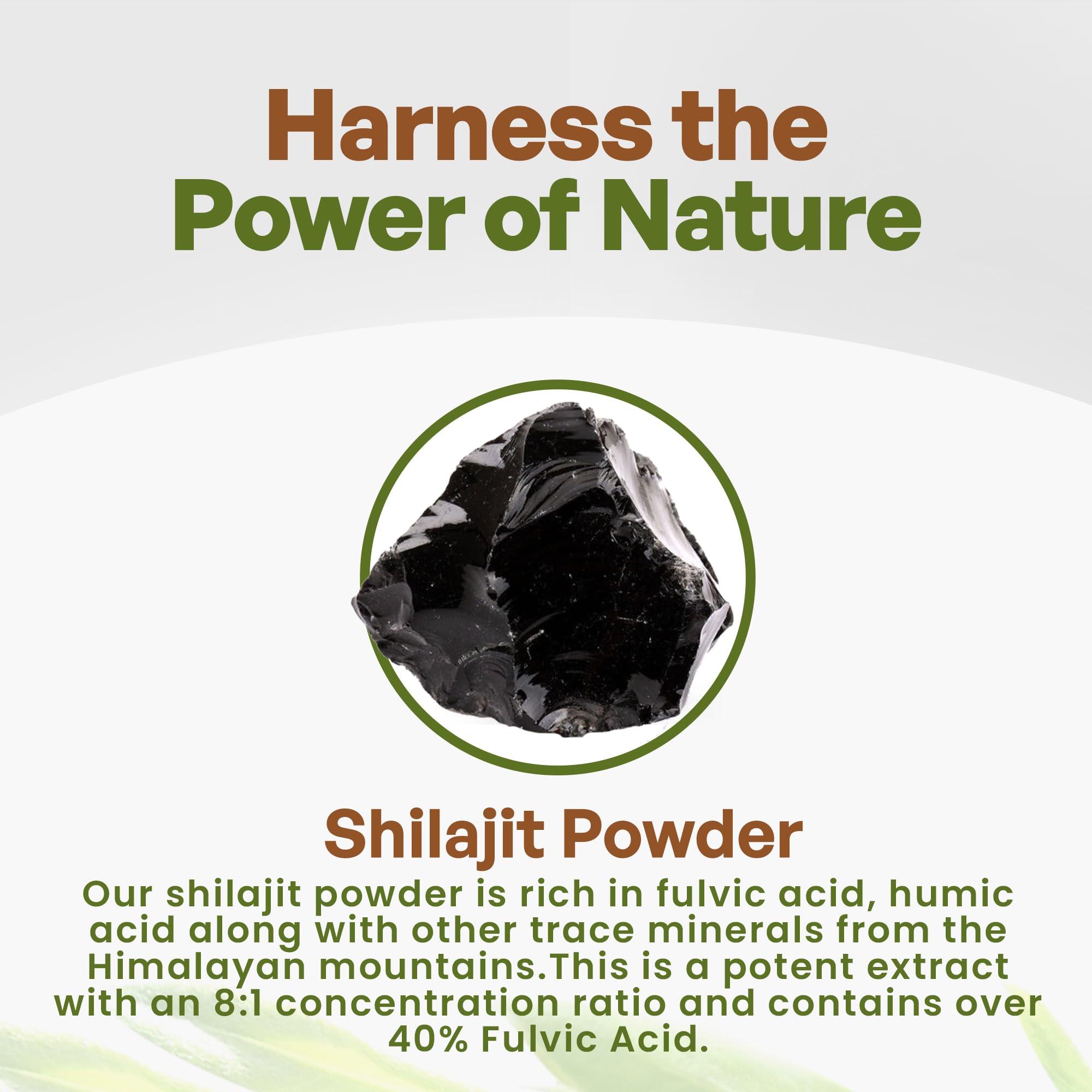 Go Nutra Go Nutra Shilajit Powder Pure Himalayan Shilajit 40% Fulvic Acid Trace Minerals - 4oz.