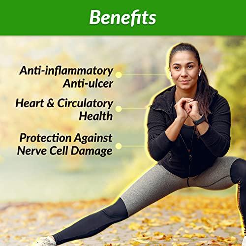 AFC AFC Japan Brazilian Green Propolis Extract – Highest Artepilin C (>2.8% or >28mg/ml) & Flavonoids (>17mg/ml), Premium Quality, for Immune Booster, Tincture, Concentrated Liquid