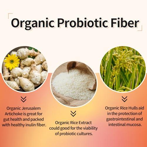 Lifeatlas 300 Billion CFU Probiotics - Probiotics for Women and Men, 12 Probiotic Strains Plus Prebiotic, for Immune & Digestive, Gut Health, Gas Bloating, Shelf Stable - 60 Capsules