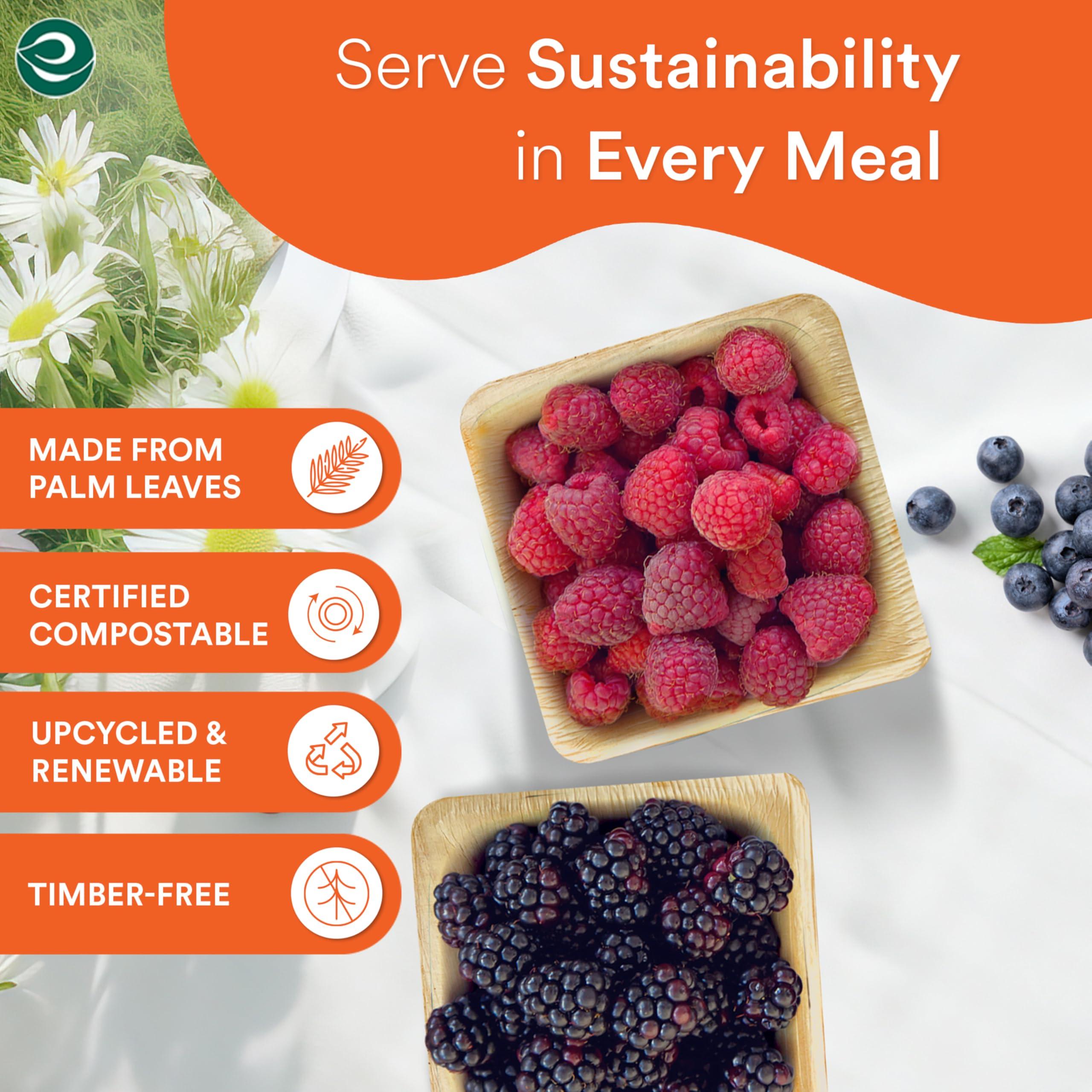 ECO SOUL ECO SOUL 100% Compostable Mini Palm Leaf Bowls 4 Inch 5 Oz Disposable Square Bamboo Bowls [50-Pack] Dessert Bowls Bamboo Style I Heavy Duty Eco-Friendly Sturdy Palm Bowl I Biodegradable Eco Bowls