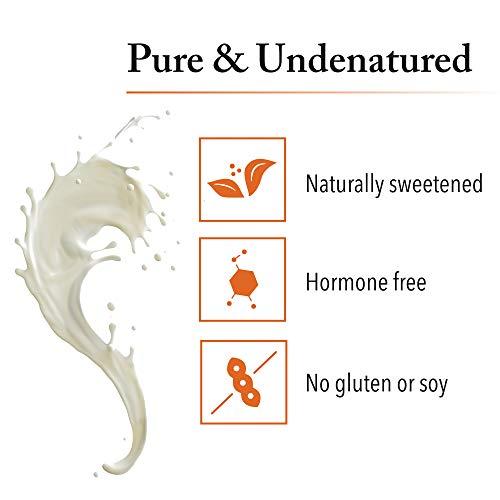 Natural Factors Whey Factors by Natural Factors, Grass Fed Whey Protein Concentrate, Aids Muscle Development and Immune Health, Unflavored, 12 Oz