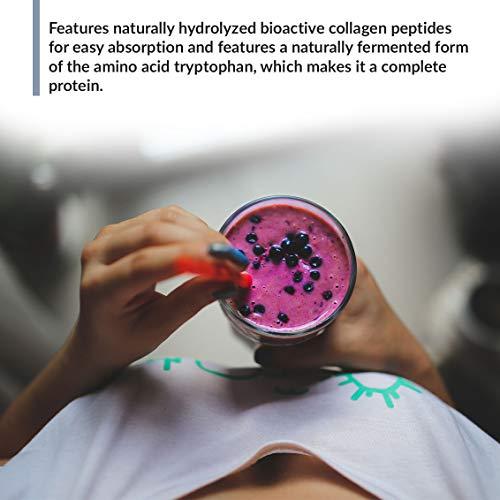 BioTrust BioTrust Ageless Multi Collagen 5-in-1 Protein Powder (Vanilla) BlenderBottle Bundle