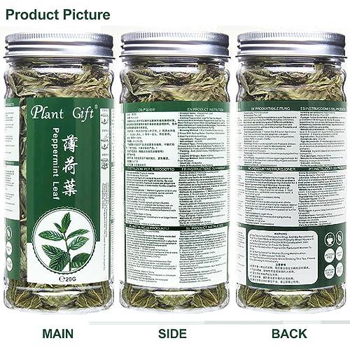 Plant Gift 100% Dried Peppermint Leaves 20G/0.7oz | Premium Dried Crushed Mint Leaves | 100% Natural Mint Leaf | Mint Tea Loose Leaf