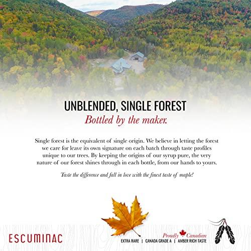 Escuminac Escuminac Canadian Maple Syrup, 16.9 Fl Oz Glass Bottle & Gift Box. Extra Rare, Amber Rich Taste. 100% Pure & Organic. Gourmet Gift.