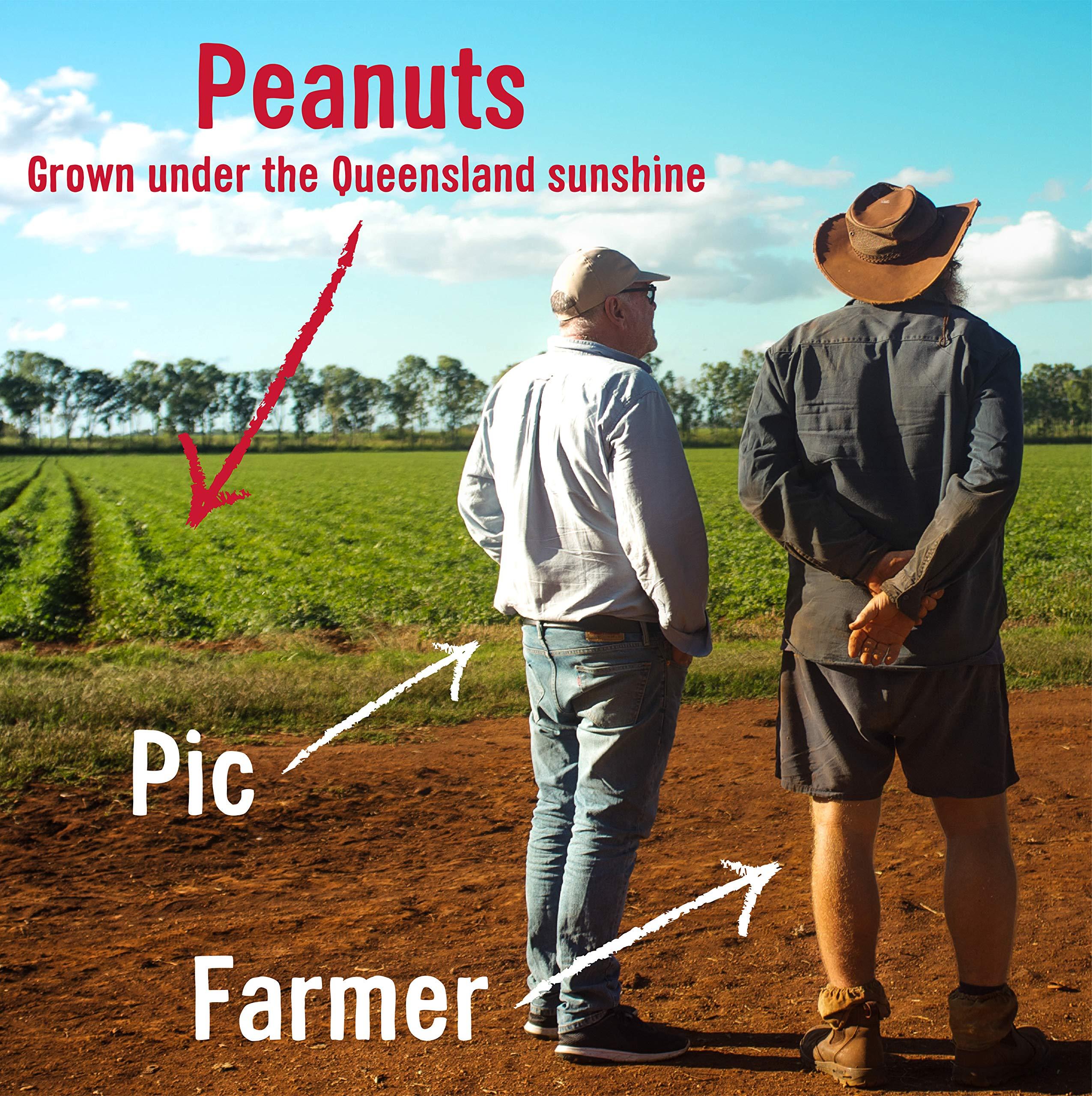 Pic's Pic's Smooth Peanut Butter (35.3oz)