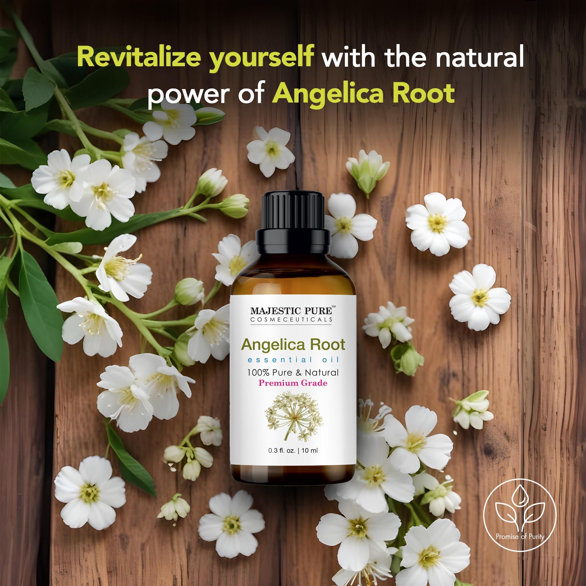 MAJESTIC PURE MAJESTIC PURE Angelica Root Essential Oil | 100% Pure and Natural Oil | Premium Grade Essential Oils for Hair Care, Home Diffusers, Skin, Aromatherapy, Massage and Humidifiers | 0.3 Fl Oz