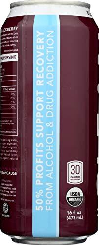 Clean Cause Clean Cause Sparkling Blackberry Yerba Mate - 16 Ounces (Case of 12)