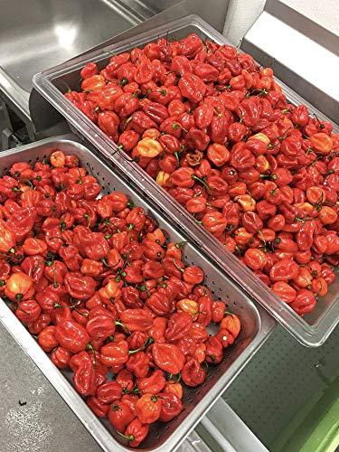 JaJa's Kitchen, Inc. Generic JaJa's Pepper Sauce, 6 ounces - Vegan, Gluten Free - Born in Trinidad, Spiced in New York