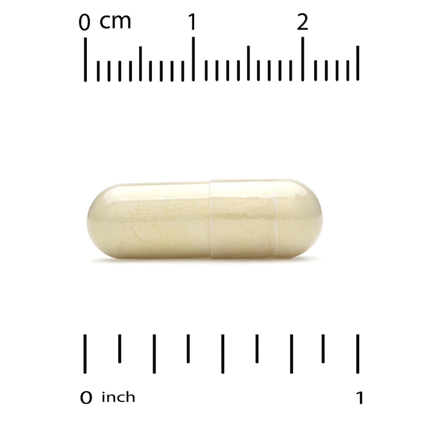 Super Nutrition Super Nutrition Super Immune+ Multivitamin, Iron Free, 240 Veggie Capsules