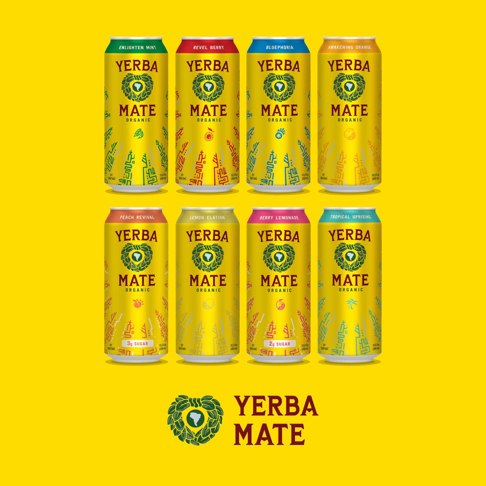 Guayaki Yerba Madre Organic Yerba Mate, Energy Drink Alternative, Berry Lemonade, Low Sugar, 150mg Natural Caffeine, Better for You Energy & Focus, No Jitters or Crash, 15.5 Oz (Pack of 12) (Packaging May Vary)