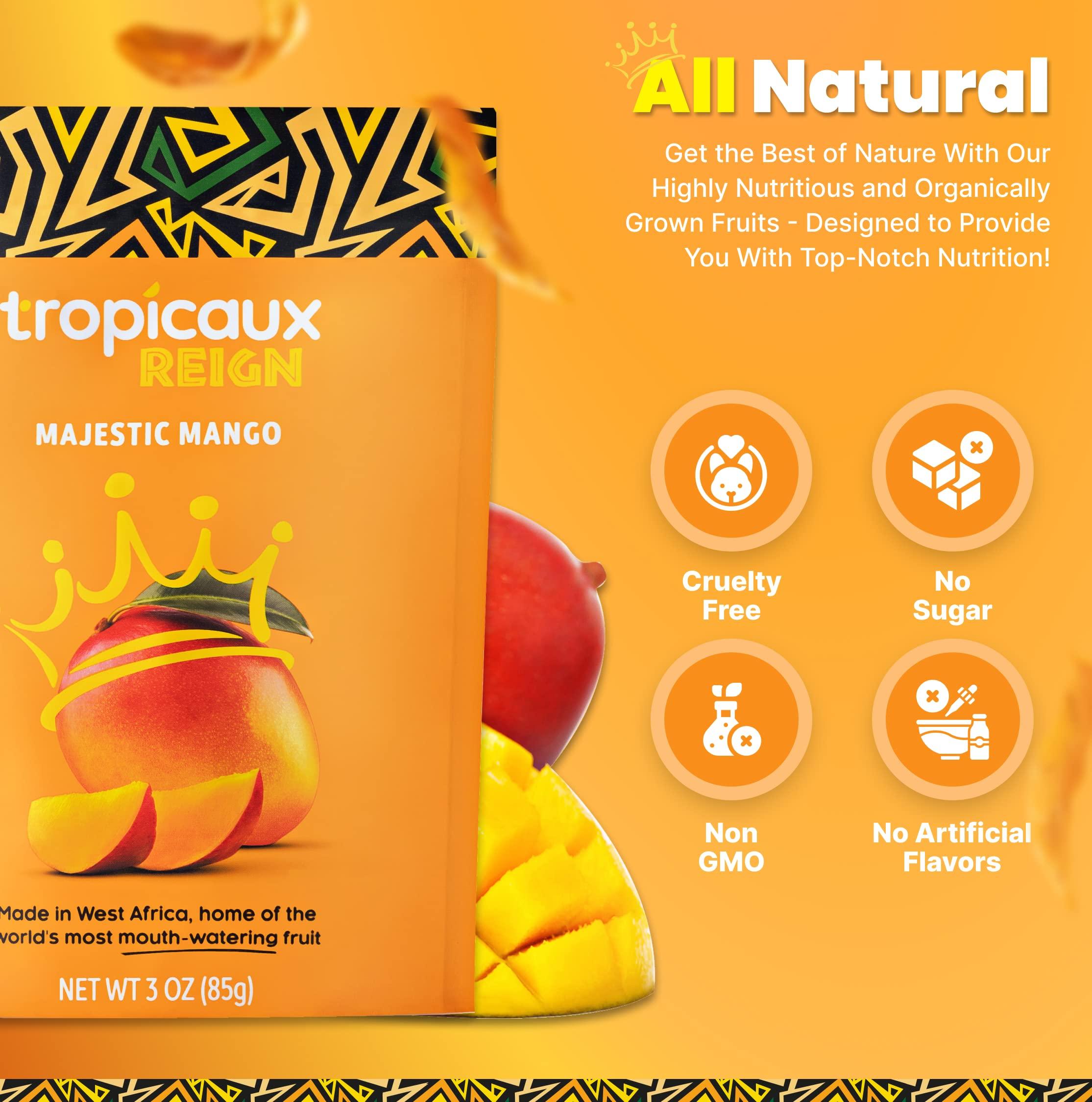 Tropicaux Reign Organic Dried Mango No Sugar Added, 3oz, Pack of 2 (6oz Total) - Delicious and Nutritious Non-GMO Dried Mangoes - No Preservatives or Chemicals - Perfect Snack for Kids & Adults by Tropicaux Reign