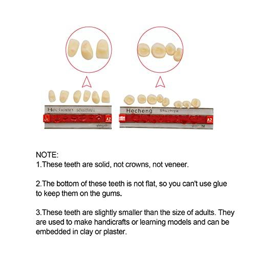 Angzhili Angzhili 84 Pcs Dental Complete Acrylic Resin Denture False Teeth 3 Sets Synthetic Polymer Resin Denture Teeth 23 Shade A2 Upper + Lower Dental Materials