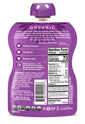 Mamma Chia Mamma Chia Blackberry Bliss Organic Squeeze Snack, Non GMO, Gluten Free, 3.5 Ounces (Pack Of 16)