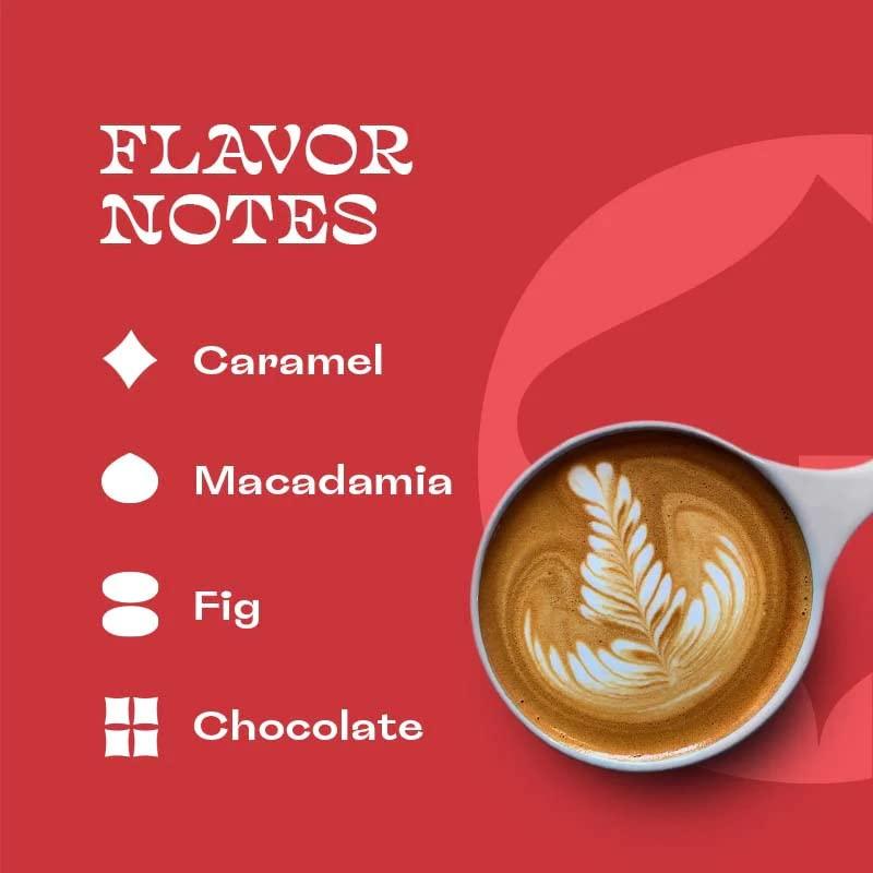 Gumption Coffee Gumption Coffee | Goodness Galileo - Bold Blend | Whole Bean Specialty Coffee | 12oz / 16oz (16 oz)