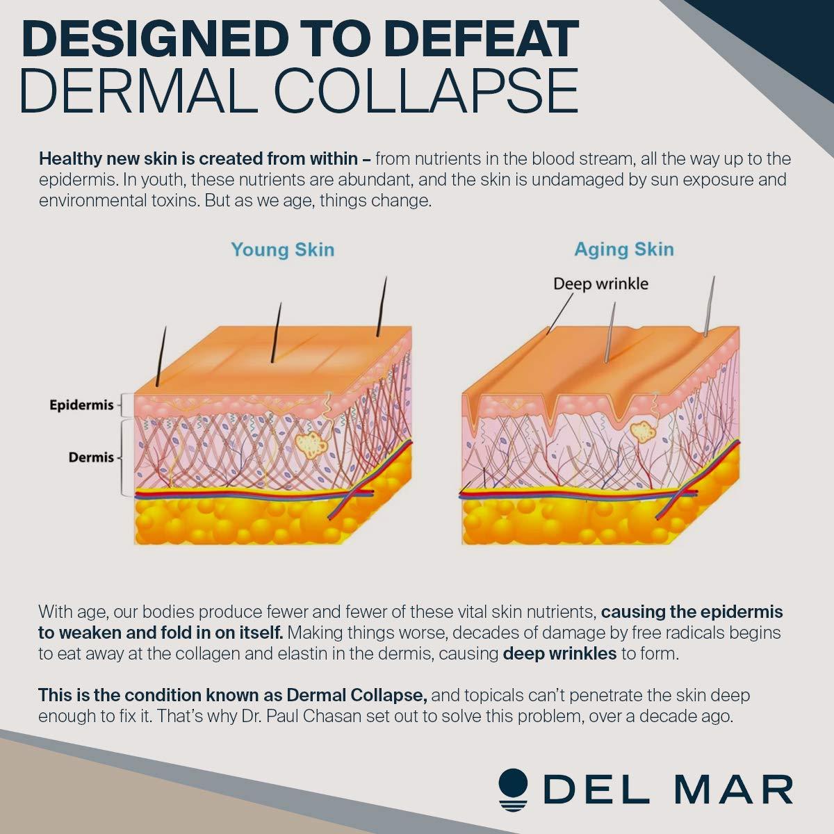 Del Mar Laboratories Del Mar Labs - CeraLift - 30 Day Supply - Doctor Formulated - For Reduction in Appearance of Fine Lines and Wrinkles - Anti-Aging Ceramides and Antioxidants - Vegetarian Capsules