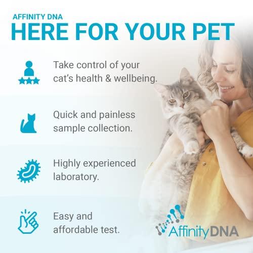AffinityDNA AffinityDNA PKD DNA Test for Cats | Home Sample Collection Kit for 1 Feline | Polycystic Kidney Disease Testing | | Just Swab & Send a DNA Sample | Get Your Report in Just 12 Working Days