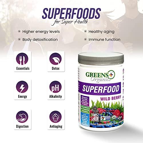 Greens+ Greens+ Organic Wild Berry Superfood Powder, Antioxidant Polyphenol, Blend for Morning Kick, Energy, Vitality Boost, Nutrition, Vibrant Health, Dietary Supplement, Vegan Soy/Dairy/Gluten Free(8.46oz)
