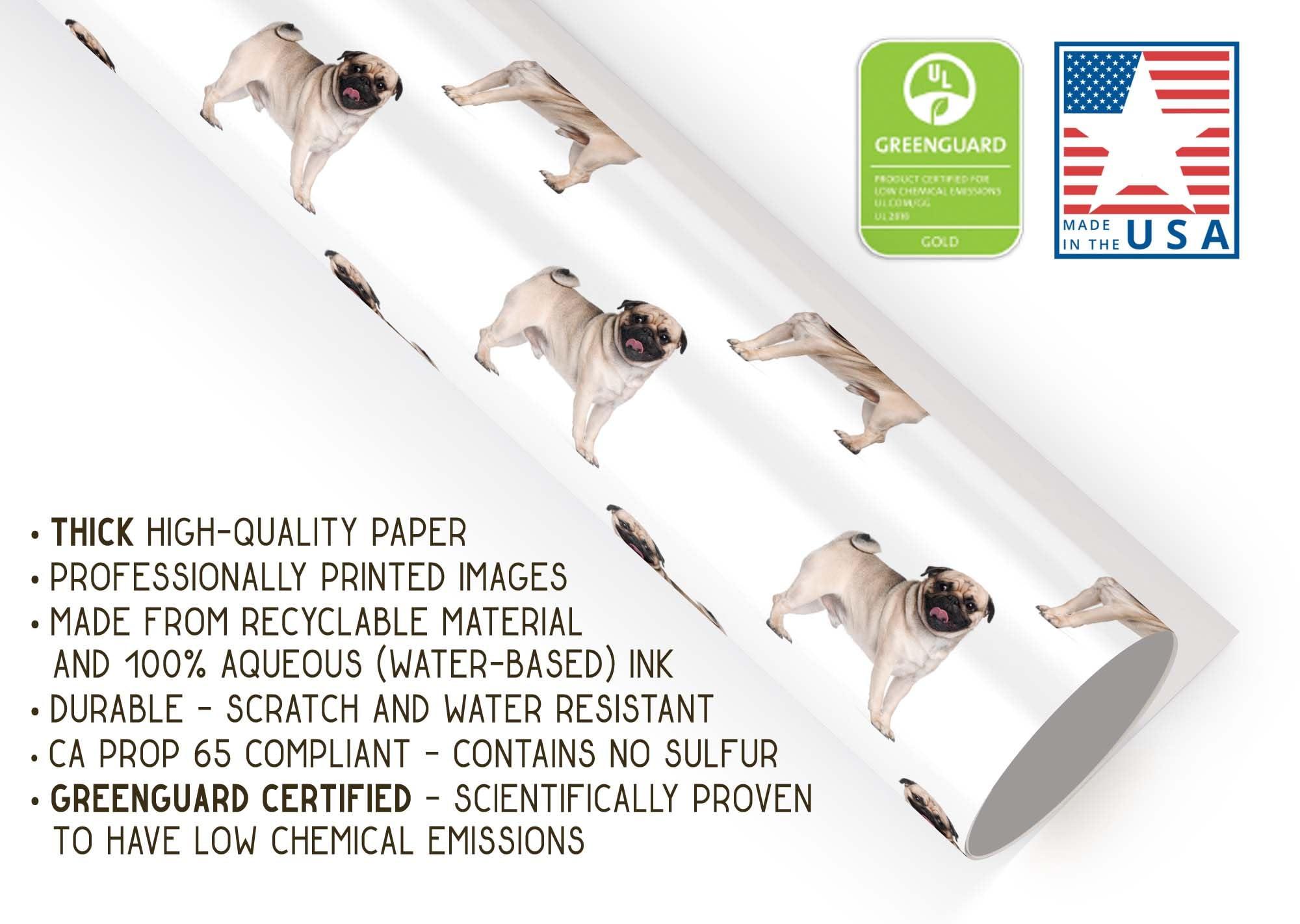 Foot Defender Foot Defender Protective Boot for Foot Wounds Designed to Offload Pressure and Help Diabetic Foot Ulcers Heal Faster (Medium)