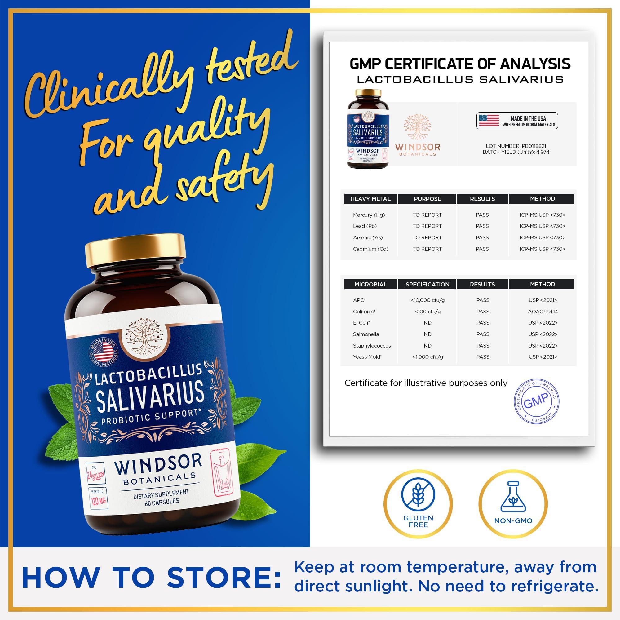 WINDSOR BOTANICALS WINDSOR BOTANICALS Lactobacillus Salivarius Probiotic and Dental Probiotics Oral Health Bundle