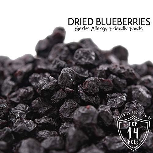 GERBS Gerbs Dried Cape Cod Blueberries 10 LBS Bulk Case