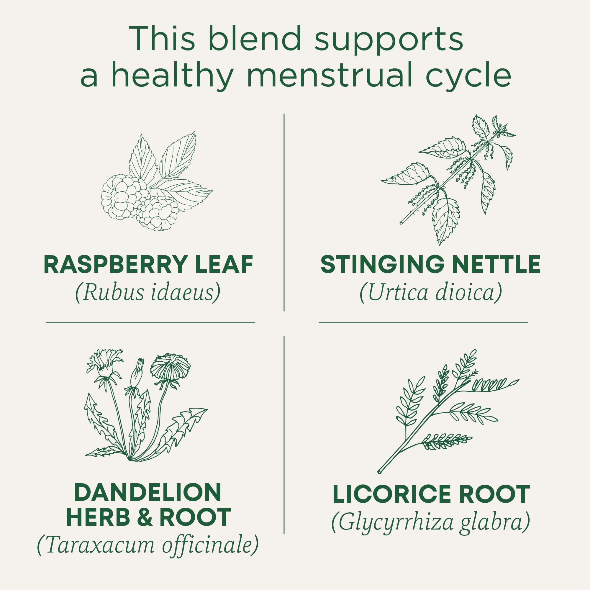 Traditional Medicinals Traditional Medicinals Tea, Organic Healthy Cycle, Supports Healthy Menstrual Cycles, 16 Tea Bags
