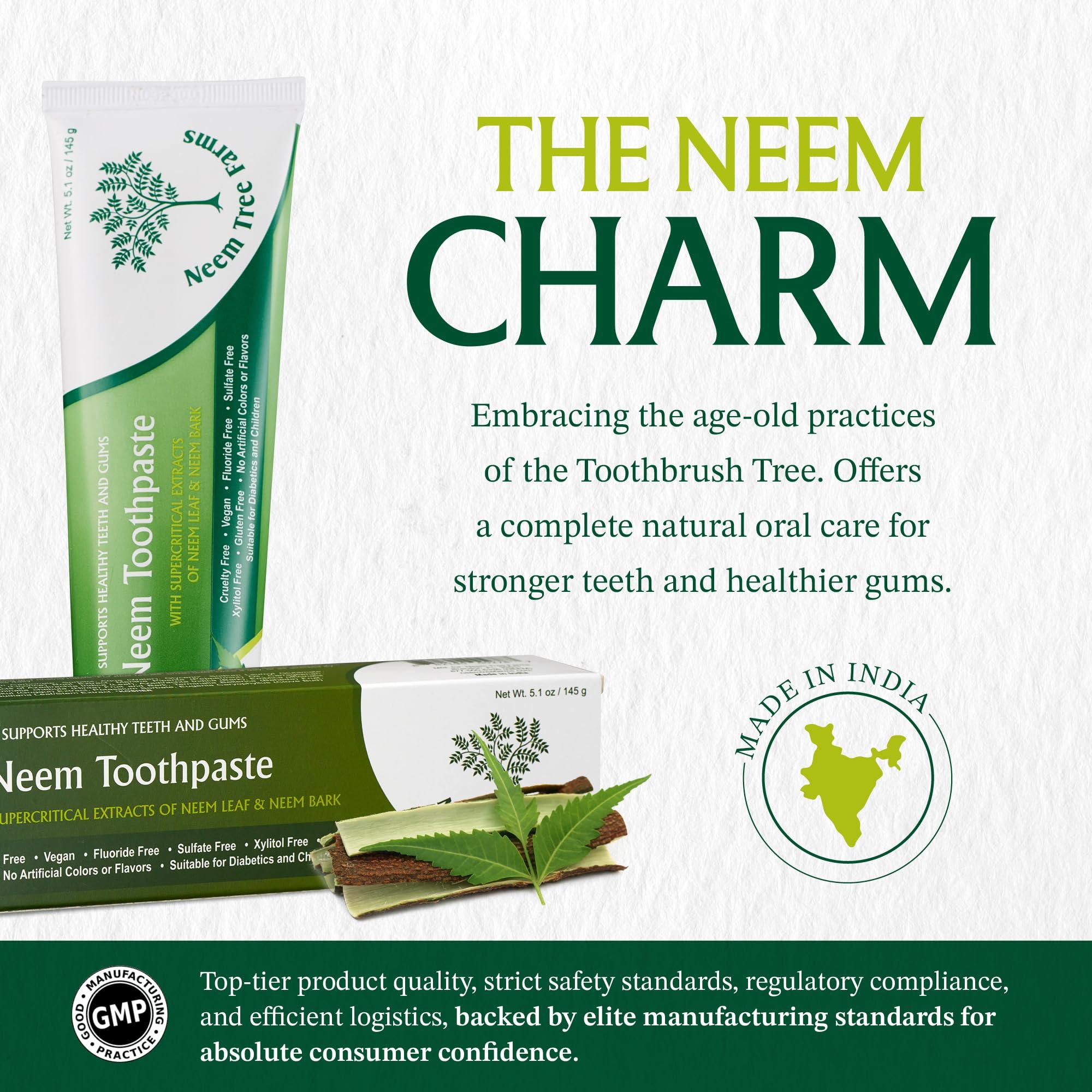 Neem Tree Farms Neem Toothpaste - Fluoride Free Toothpaste Adult, Children & Diabetic Friendly - 100% Vegan Natural Toothpaste Fluoride Free, Gluten Free, No Artificial Ingredients - with Clove & Stevia (2 pk)