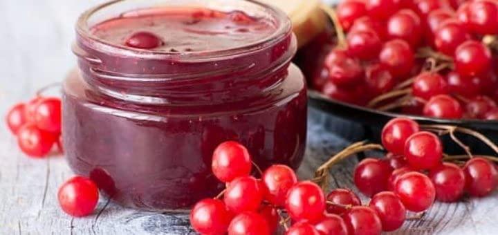 Generic Viburnum (Kalina) Preserves with Sugar \"Jam Empire\" 19.4oz/550g Organic Imported Non-GMO Jam Spread Kalina