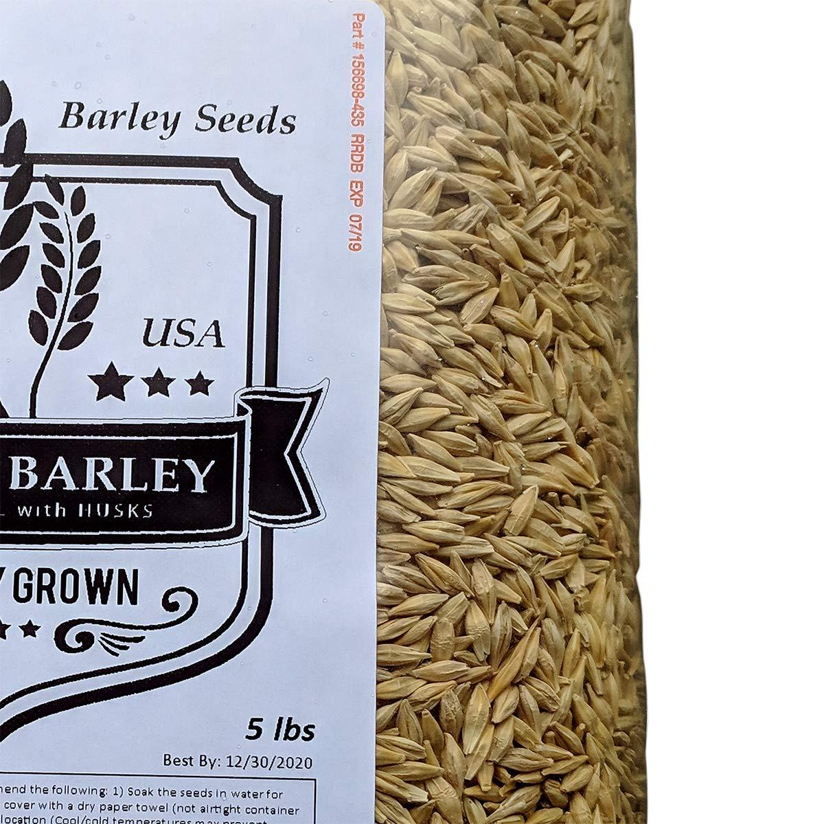 PowerGrow Systems Barley Seeds - All Natural 5 Pounds Whole Barley Seed for Juicing, Malt Brewing, Beer Making