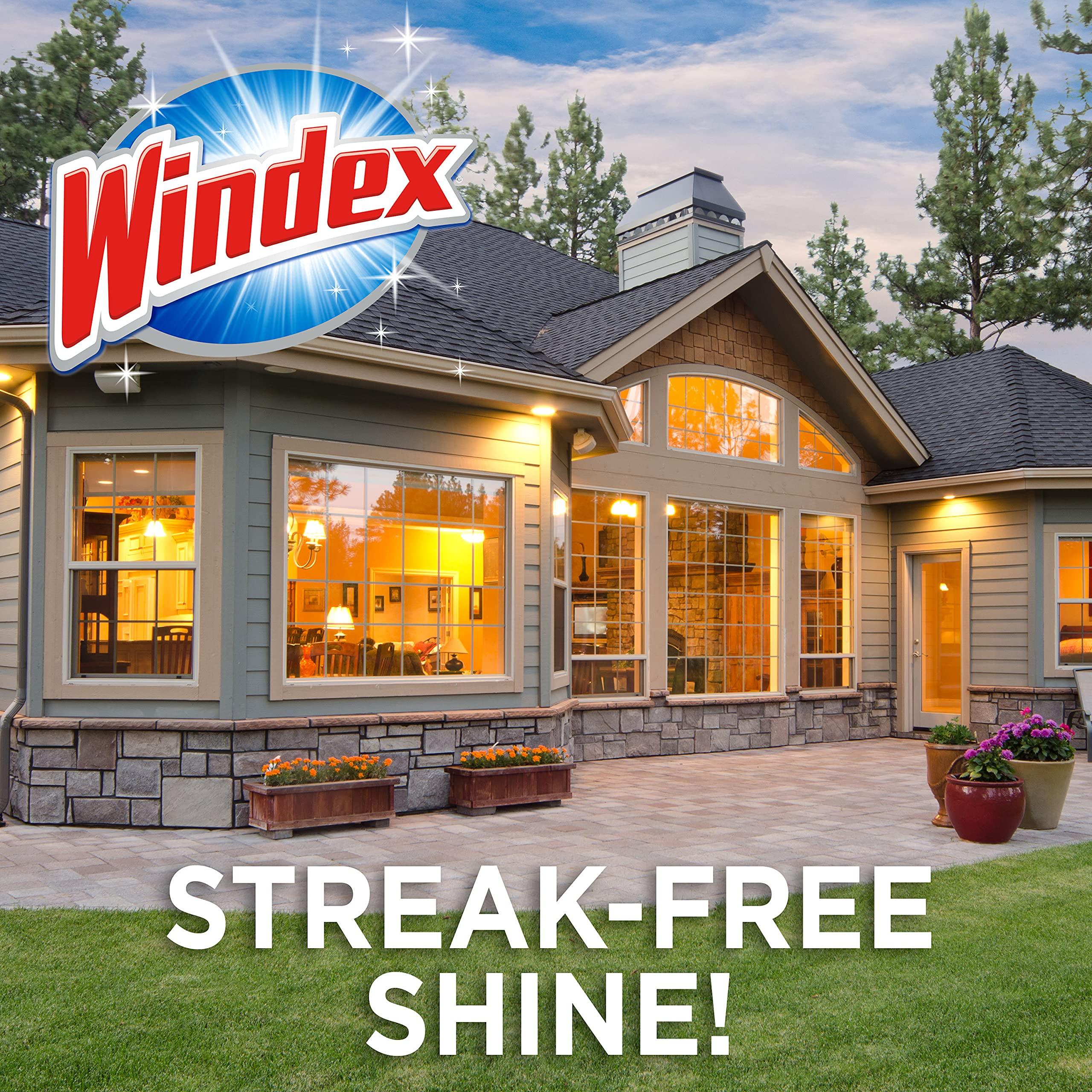 Windex Windex Outdoor Window and Glass Cleaner for Hose Ammonia Free, Concentrated Formula for Deep Outdoor Clean, Patio Cleaner, Compatible With All Hoses, 32 Fl Oz (Pack of 2)