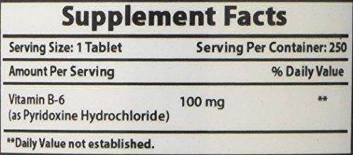 Best Naturals Best Naturals Vitamin B6 Tablet, 100 mg, 250 Count