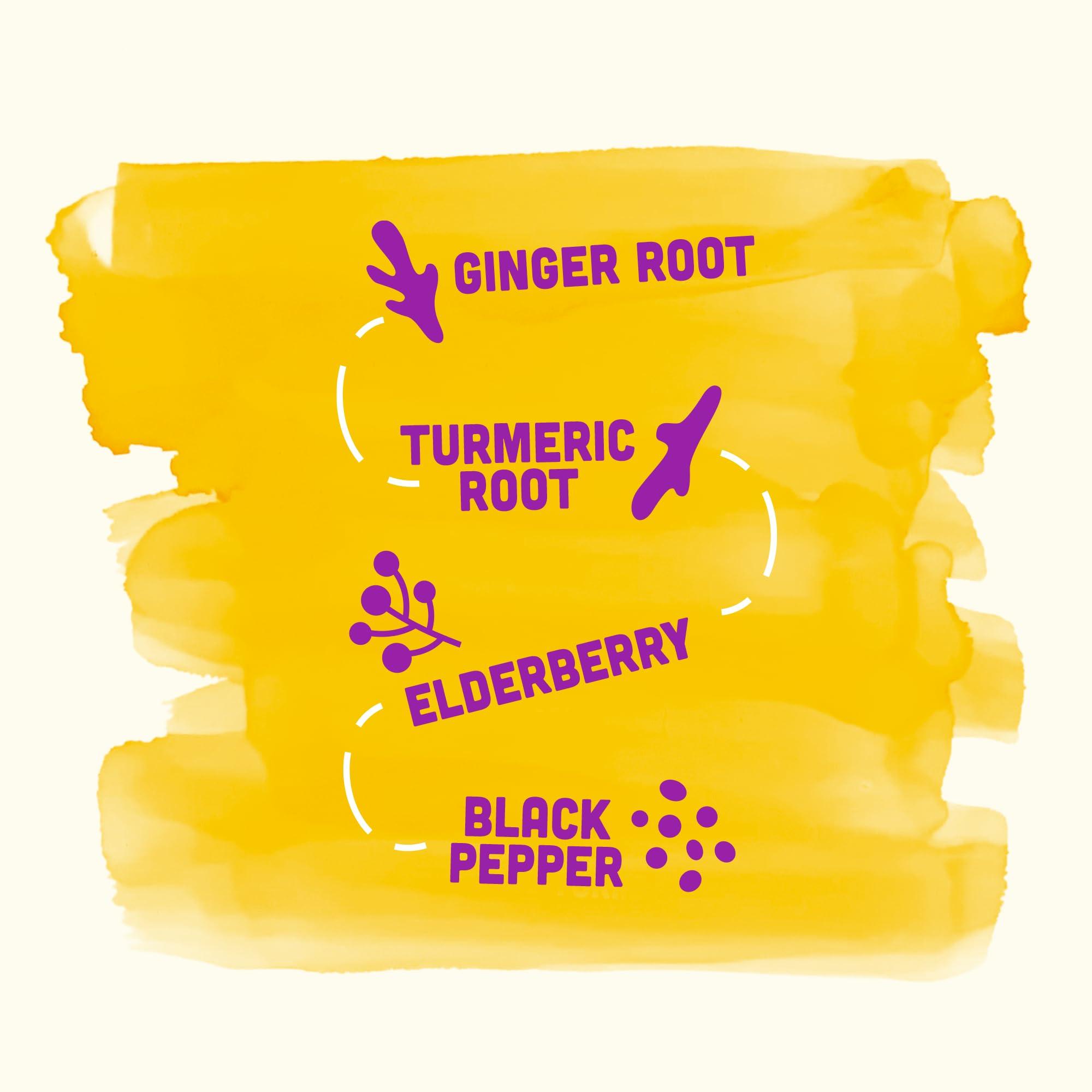 Vive Organic Vive Organic Immune Support Elderberry Shot, Cold-Pressed Turmeric & Ginger, Gluten Free, Vegan, Immunity Boost Elderberry, 2 Fl Oz (Pack of 12)