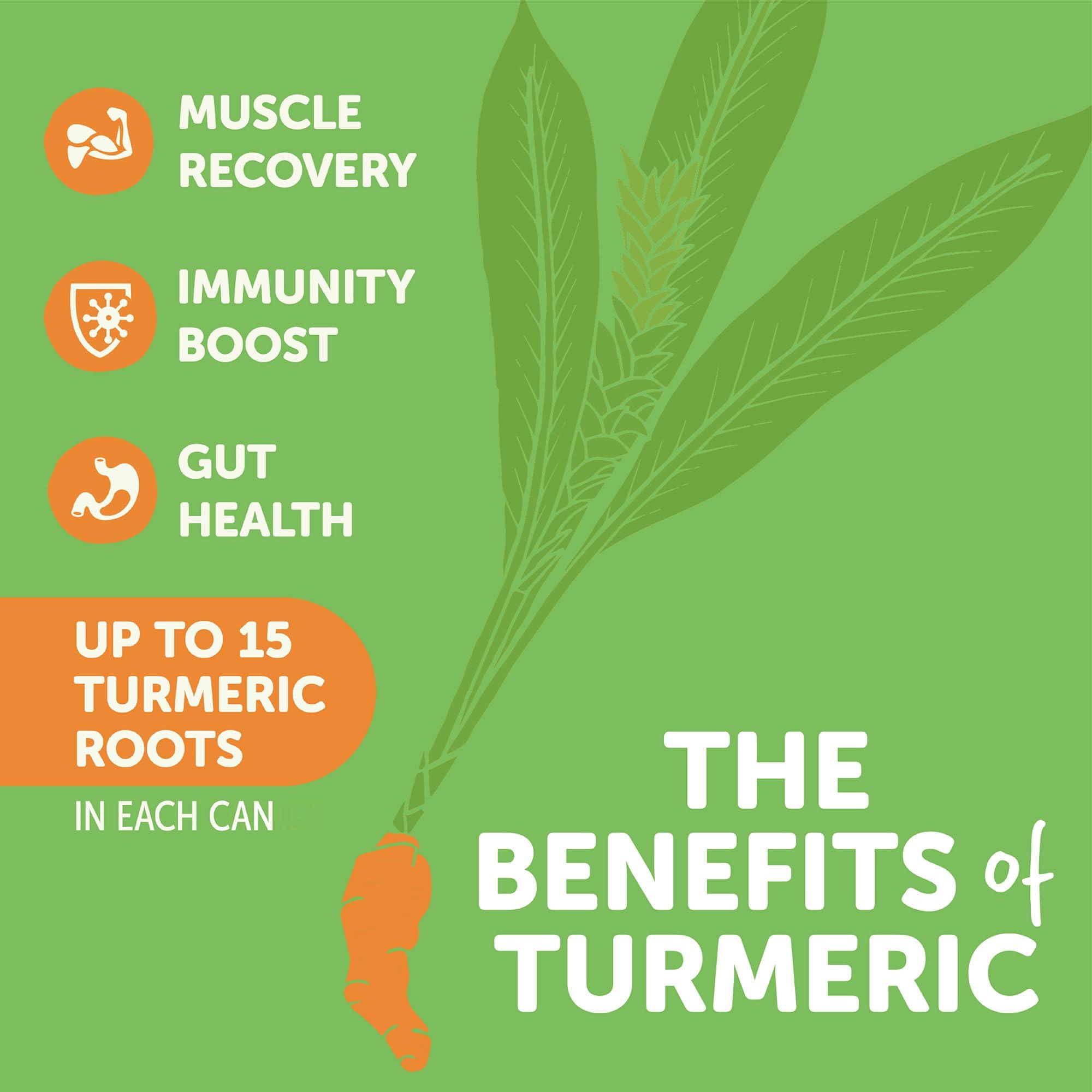 ZYN Turmeric Antioxidant Energy Drink by ZYN | 6 Pack | Mango Lychee | Low Calorie & No Added Sugar | Energy Turmeric Drinks for Inflammation Turmeric Drinks with Curcumin, Piperine, Vitamin C & Zinc | Plant-Based Formula