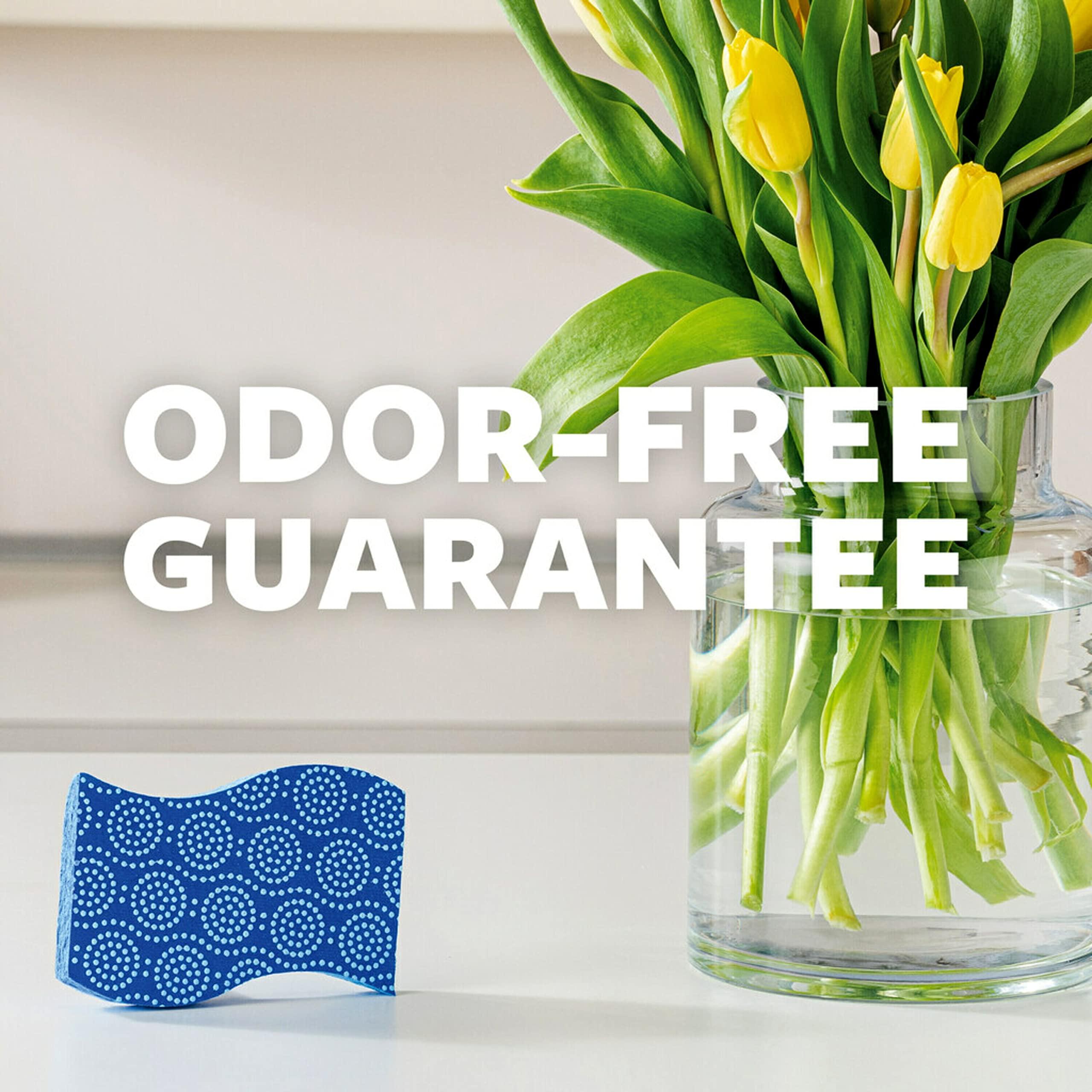 Scotch-Brite Scotch-Brite Scrub Dots Non-Scratch Scrub Sponge, Rinses Clean, for Washing Dishes and Cleaning Kitchen, 3 Scrub Sponges (Pack of 2)