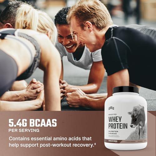 Levels Nutrition Levels Grass Fed Whey Protein, No Artificials, 24G of Protein, Chocolate Mocha, 5LB