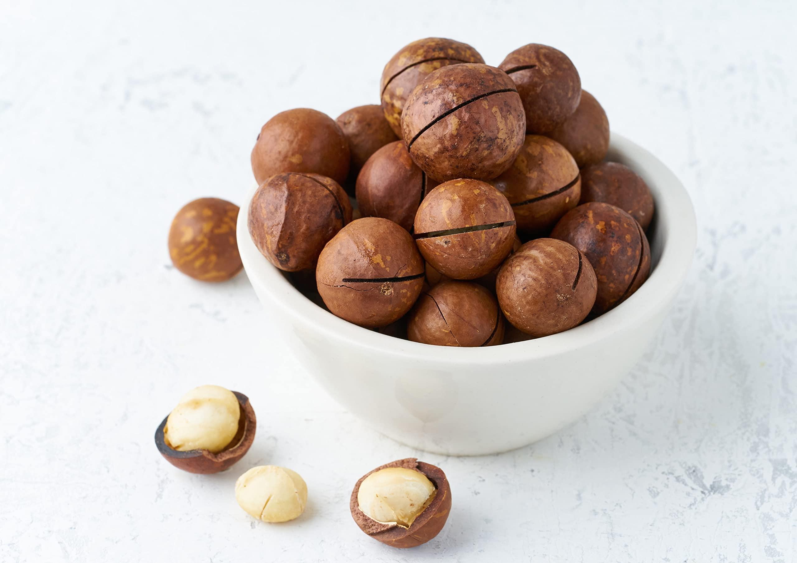 Food to Live Food to Live Macadamia Nut Halves & Pieces, 25 Pounds Raw, Shelled, Unsalted, Kosher, Vegan, Bulk. Keto Snack. Good Source of Healthy Fats. Great for Baking, and as Topping for Salads, Yogurt.