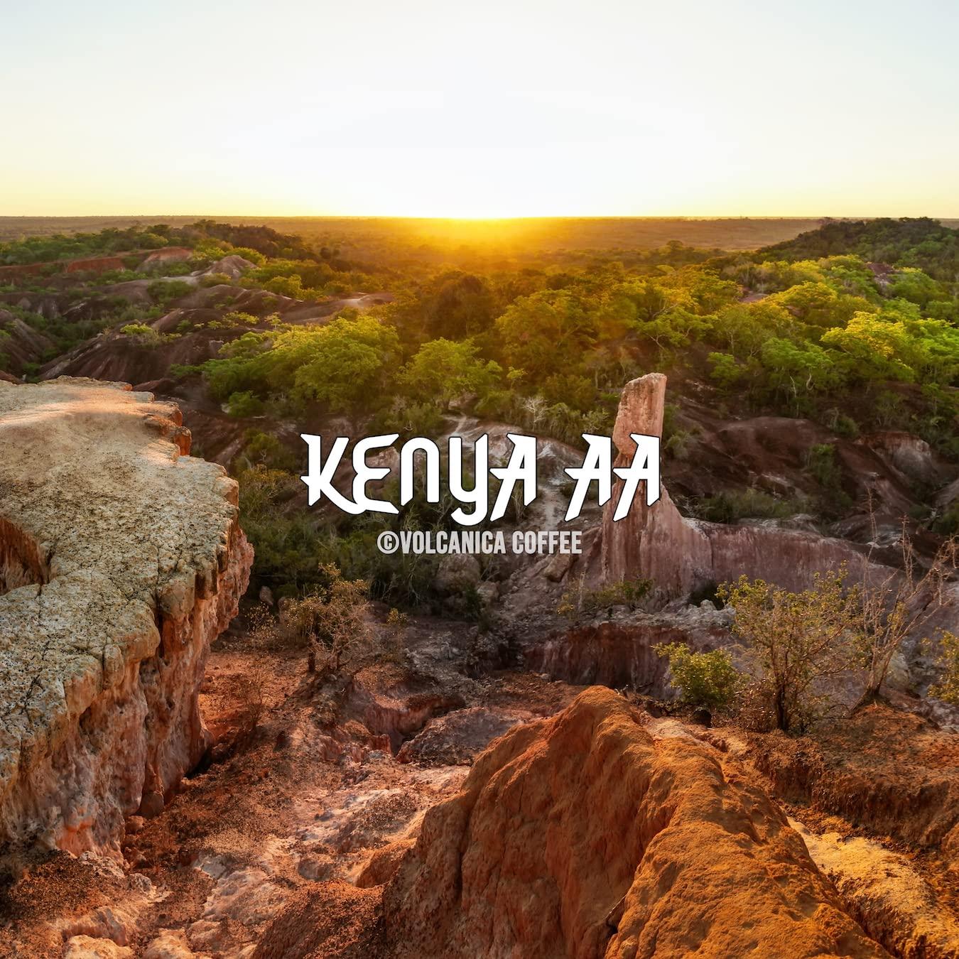 Volcanica Coffee Kenya AA Coffee, 100% Pure, Ground, Fresh Roasted, Kosher, 16-ounce