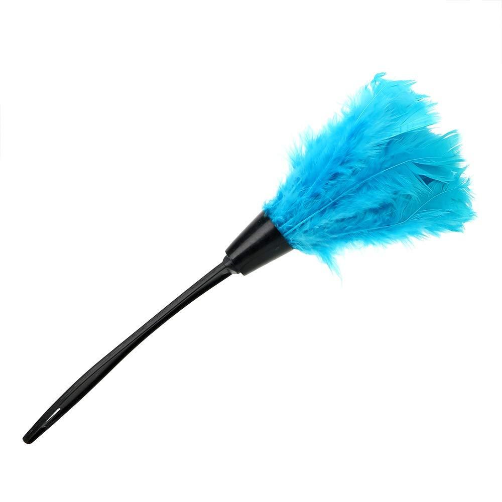 HZLXF1 Long Handle Dust Brush Household Home Cleaning Tools 4 Colors Soft Turkey Feather Duster For Furniture Car Clean (Color : Blue)