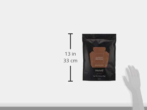 WelleCo WelleCo Vegan Protein Powder, Gluten Free Premium Organic Sprouted Brown Rice & Pea Protein Blend, 6g Carbs & Dairy Free, for Energy, Muscle Recovery, 16g Protein Per Serving, Chocolate, 35.2oz Pouch