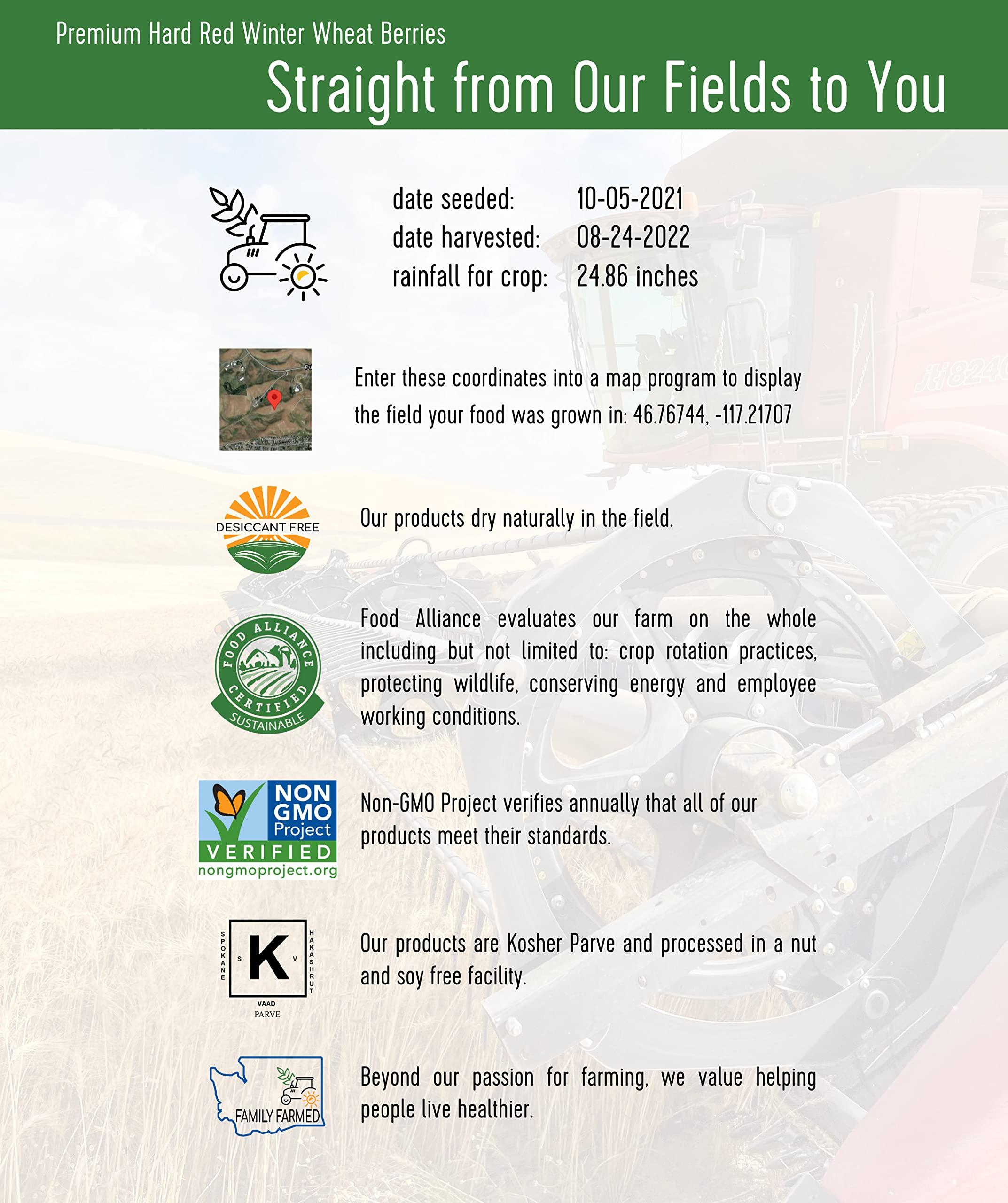 Palouse Brand Certified Glyphosate Residue Free Hard Red Winter Wheat Berries | 5 LBS | Family Farmed in Washington State | Non-GMO Project Verified | 100% Non-Irradiated | Certified Kosher Parve | Field Traced | Burlap Bag