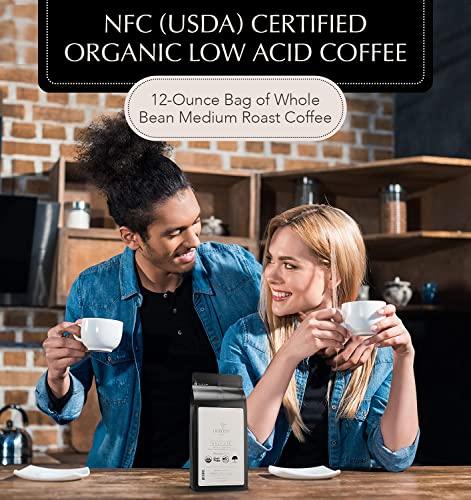 LIFEBOOST Lifeboost Coffee Half Caff Whole Bean Coffee - Low Acid Single Origin USDA Organic Coffee - Non-GMO Whole Bean Coffee Third Party Tested For Mycotoxins & Pesticides - 12 Ounces