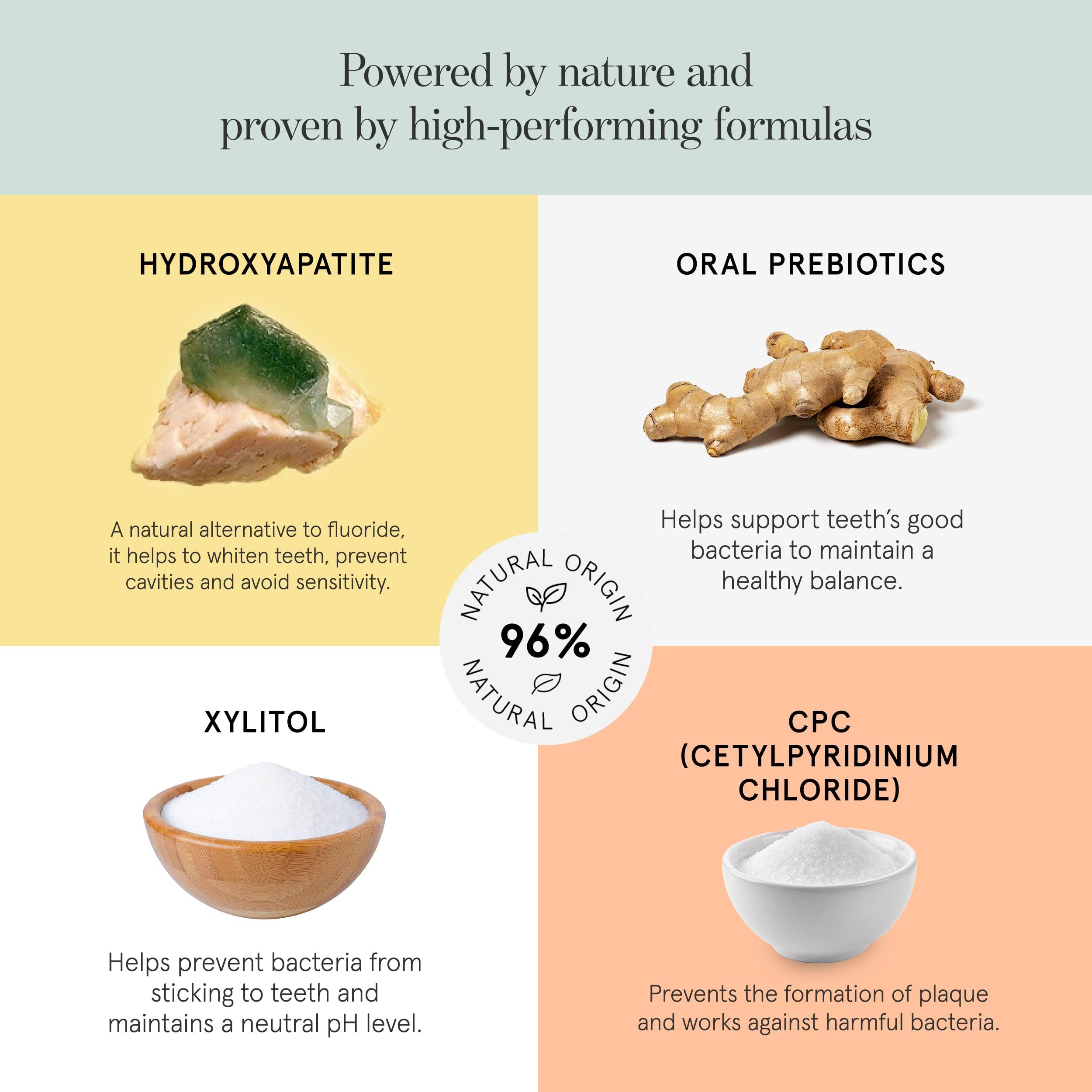 HAAN HAAN Natural Toothpaste Made with Clean, Vegan Ingredients for Cavity Protection | Parabens, Sulfates & Charcoal Free | 1 of Flavor of Each: Life's a Beach, Good on Ya & Apple Day (Pack 3 Bottles)