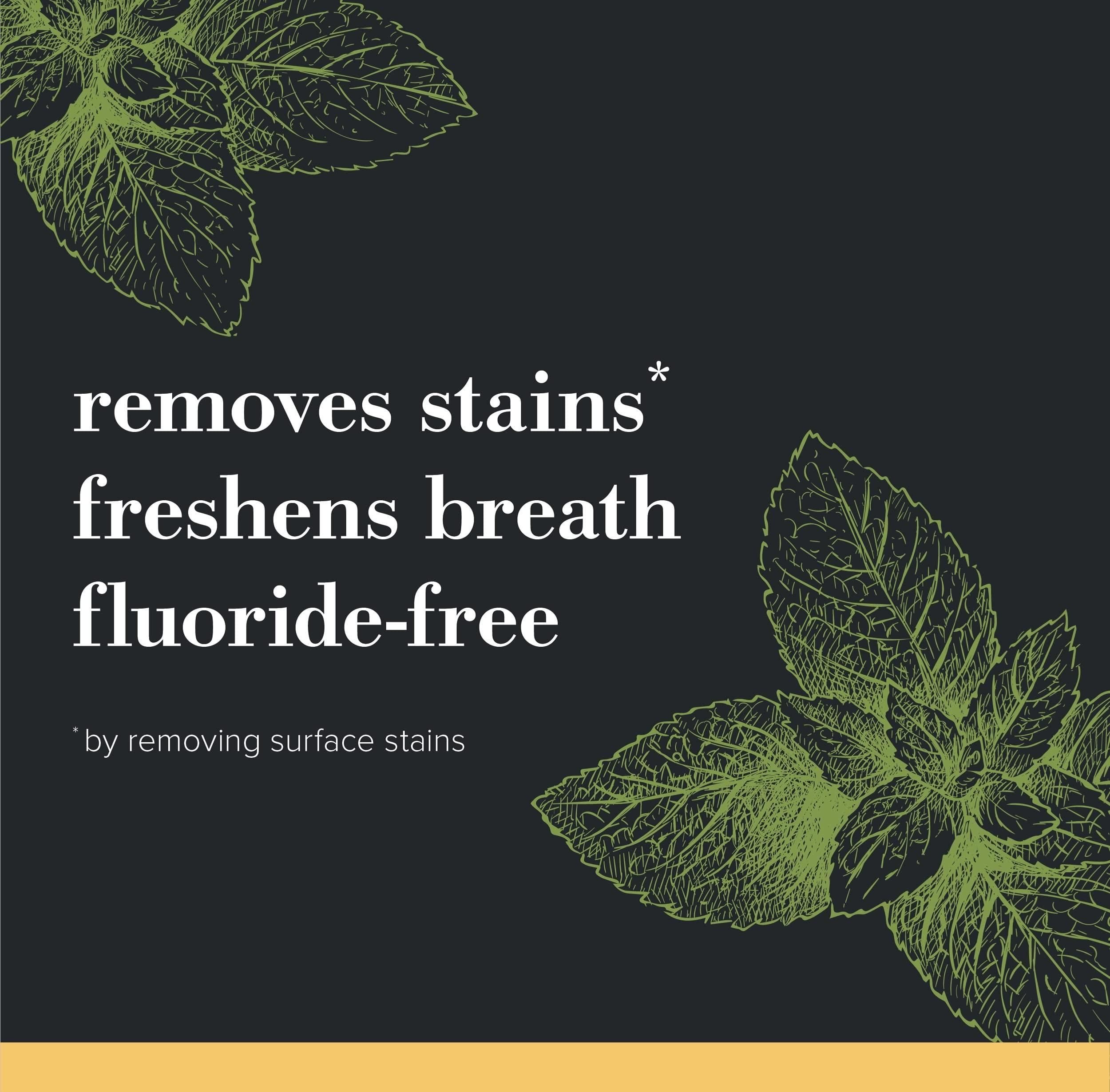 Burt's Bees Burt\'s Bees Toothpaste, Natural Flavor, Charcoal Fluoride-Free Toothpaste, Zen Peppermint, 4.7 oz, Pack of 3