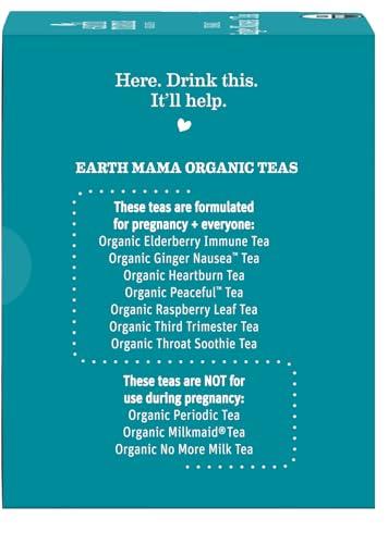 Earth Mama Earth Mama Organic Ginger Nausea Tea | Comforts Occasional Nausea + Morning Sickness, 16 Teabags Per Box (6-Pack)