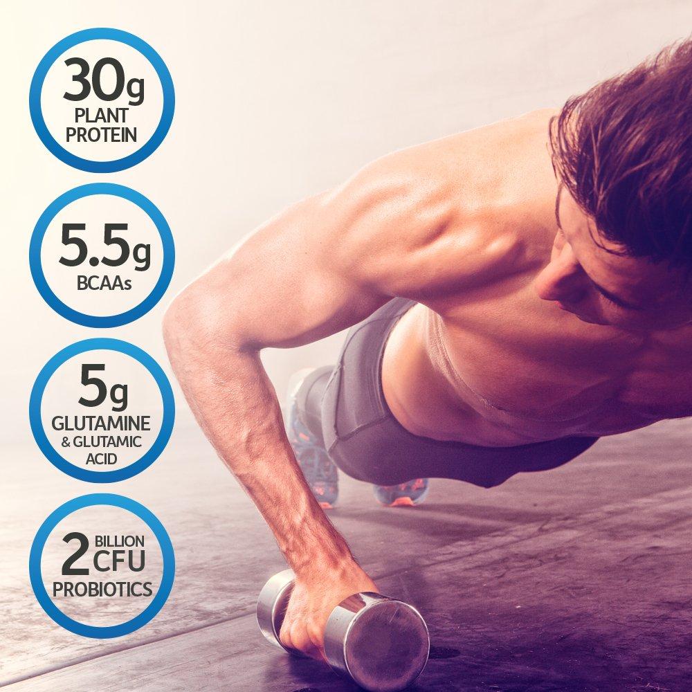 Garden of Life Garden of Life Vegan Protein Powder 22g & Organic Vegan Sport Protein Powder 30g Bundle