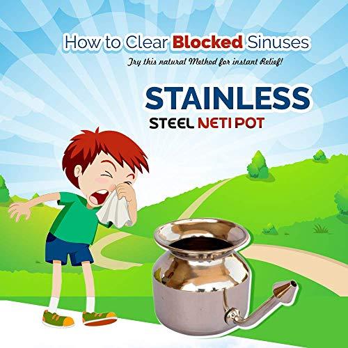 SoulGenie HealthAndYoga(TM) SteloKleen Stainless Steel Neti Pot for Sinus Congestion Plus qSwipe Lite Copper Tongue Cleaner - Exquisitely Gift Wrapped