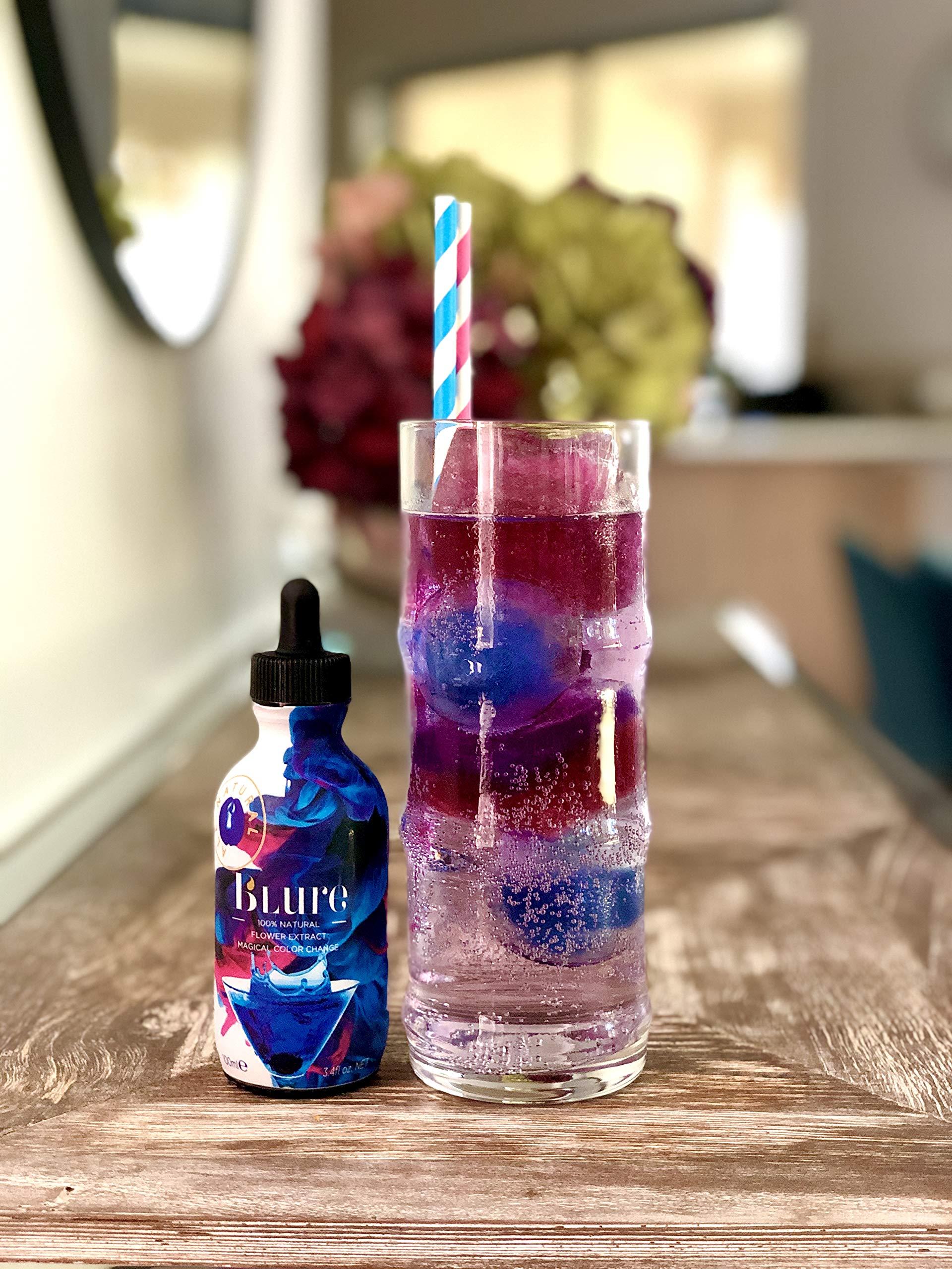 Wild Hibiscus Flowers in syrup B\'lure Flower Extract - 3.4 Fl Oz Bottle (Pack of 6)