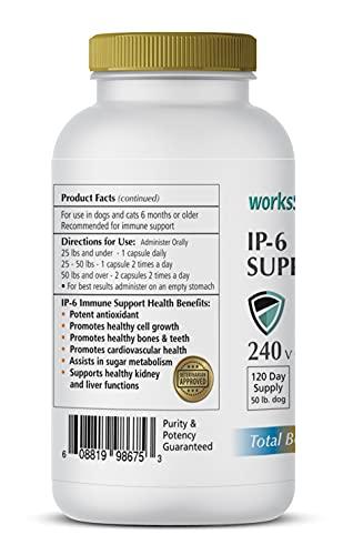 1-TDC WorksSoWell IP-6 Immune Support for Dogs – 240 V-Caps – Helps Promote Healthy Bones, Teeth, Kidney, Liver Functions and Cardiovascular Health – Total Body Health and Immunity