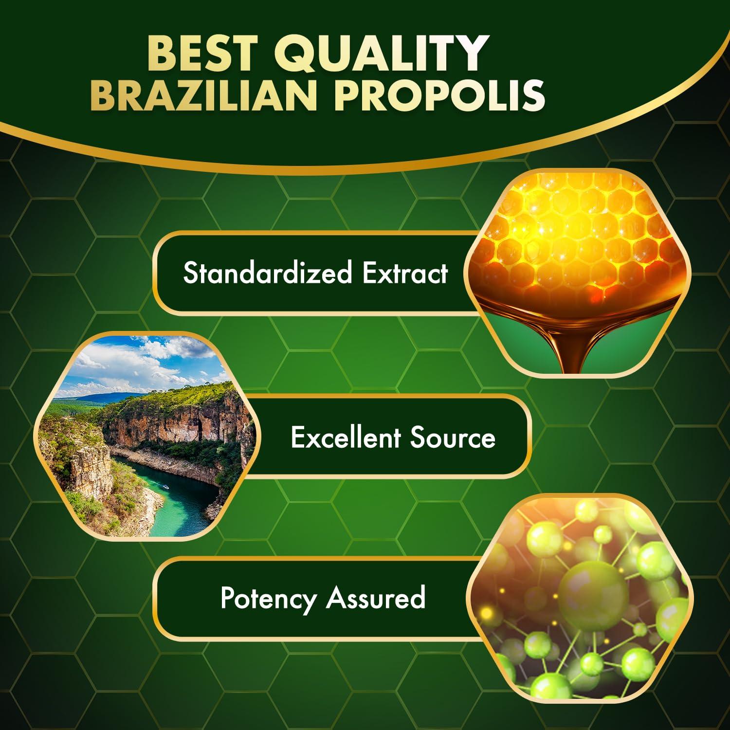 LABO Nutrition LABO Nutrition Brazilian Green Propolis Ultimate - Contains >7% or 28mg/Serving Artepillin C & >5% Flavonoids, for Immune & Brain Support, Natural, High Concentrate & Premium, 60 Veg Capsulesx3